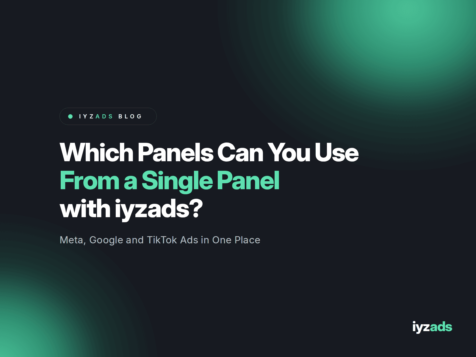 Which Panels Can We Manage Through iyzads' Unified Interface?