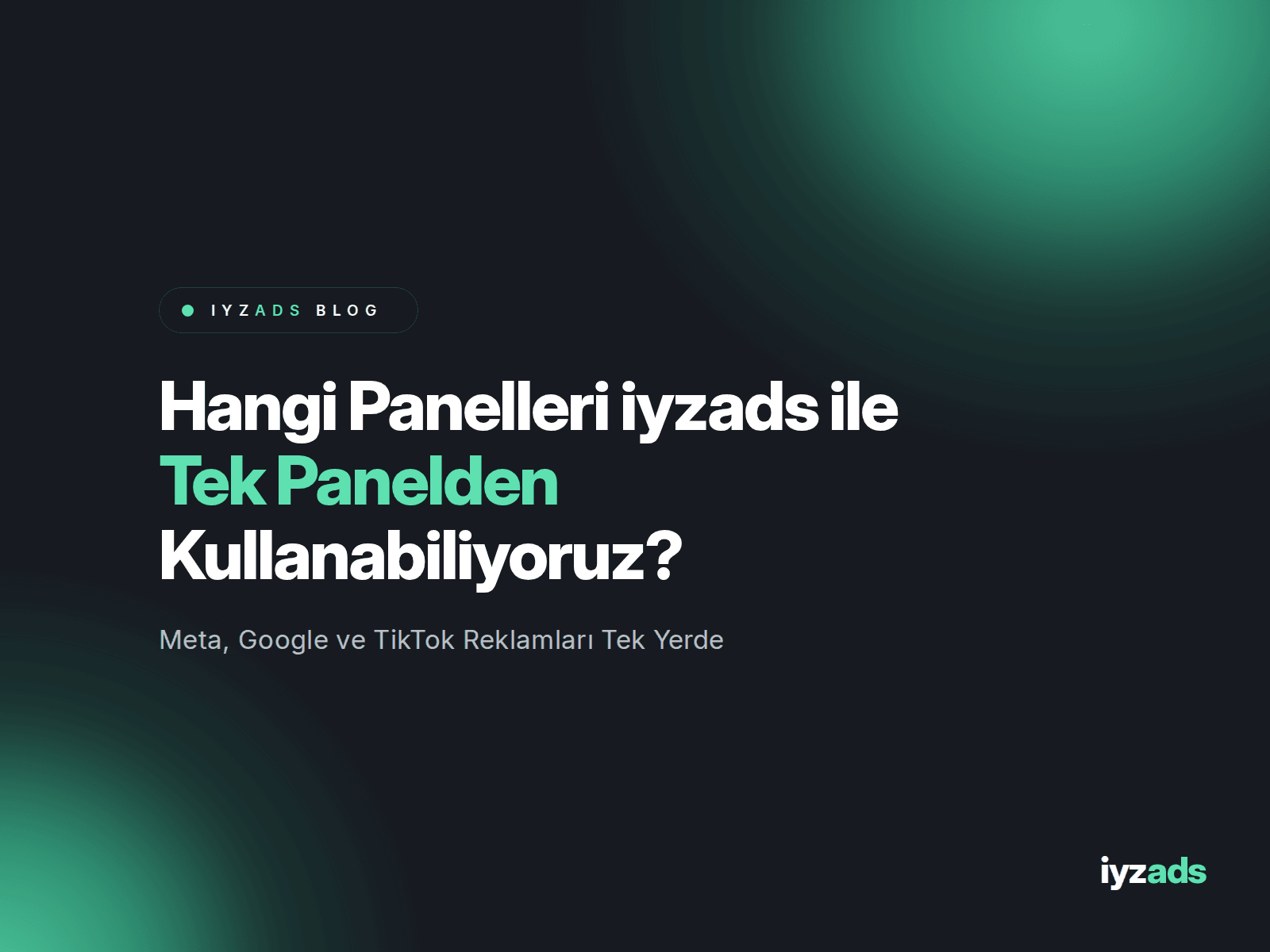 Hangi Panelleri iyzads ile Tek Panelden Kullanabiliyoruz?