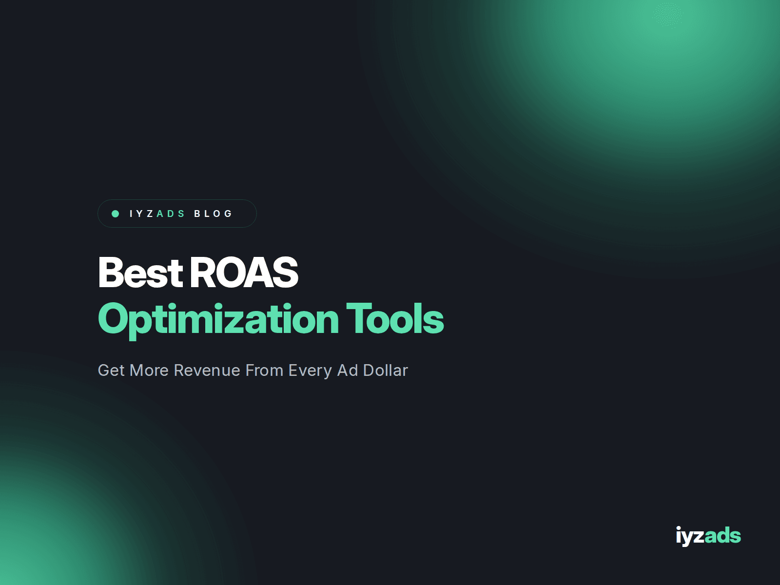Best ROAS Optimization Tools